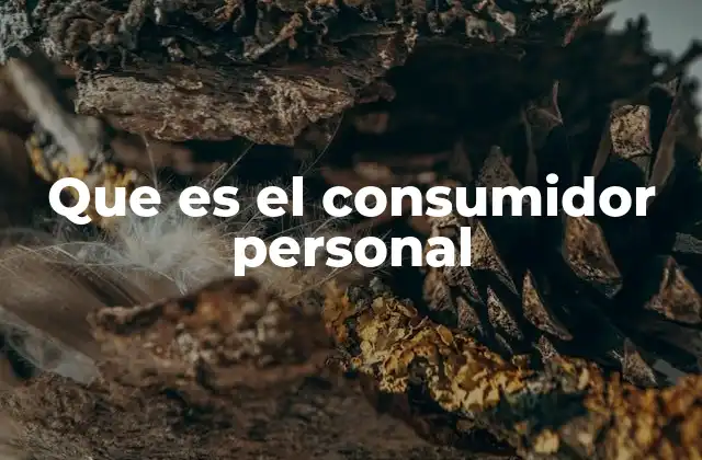 Que es el Consumidor Personal