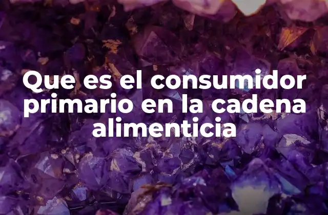 Que es el Consumidor Primario en la Cadena Alimenticia
