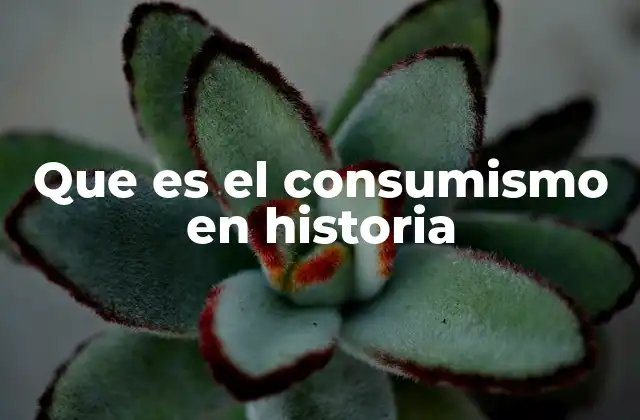 Que es el Consumismo en Historia