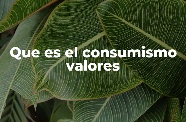 Que es el Consumismo Valores