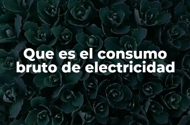 La importancia del consumo bruto en la gestión energética