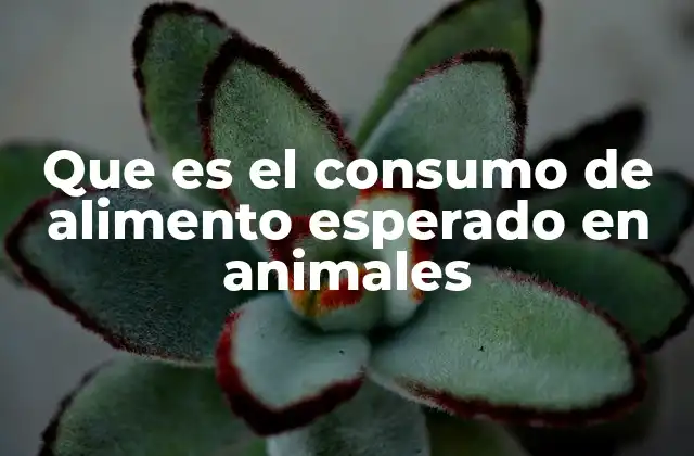 Que es el Consumo de Alimento Esperado en Animales