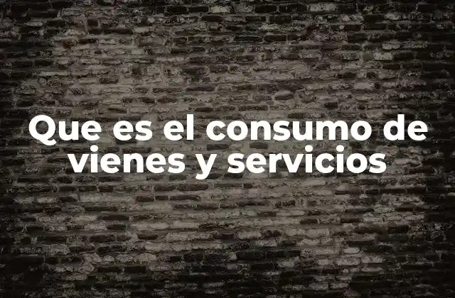 Que es el Consumo de Vienes y Servicios