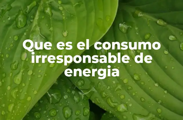 El impacto del uso excesivo de recursos energéticos