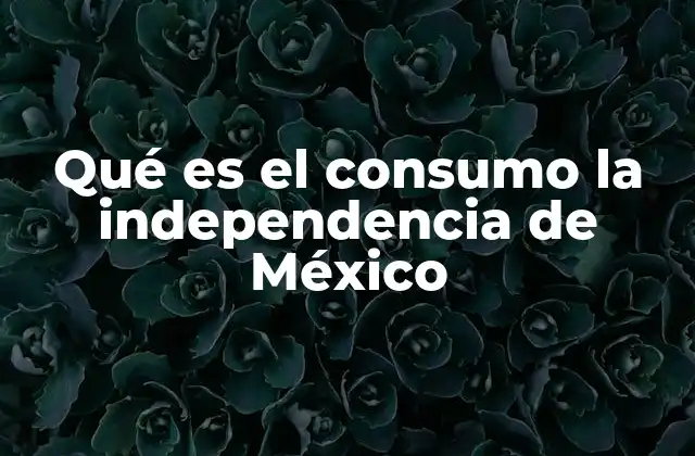 Qué es el Consumo la Independencia de México