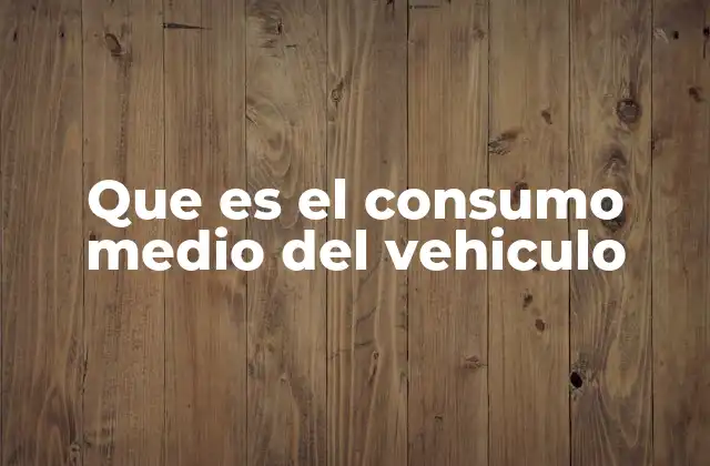 Que es el Consumo Medio Del Vehiculo