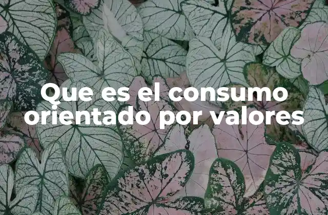 Que es el Consumo Orientado por Valores