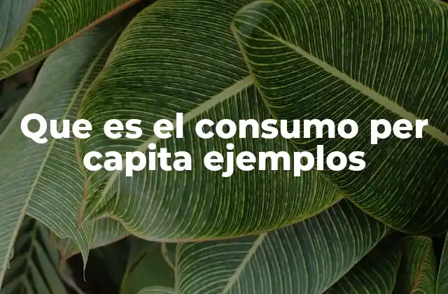 Que es el Consumo Per Capita Ejemplos
