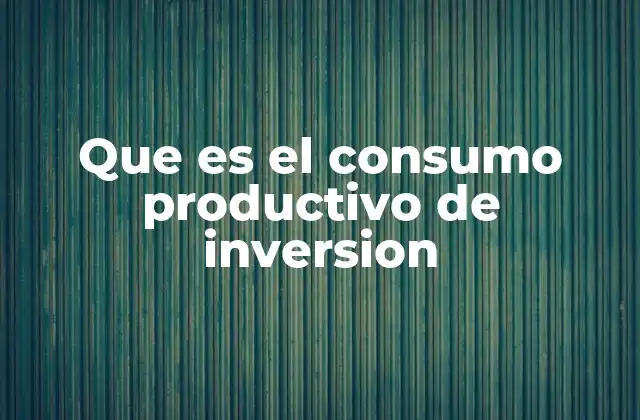Que es el Consumo Productivo de Inversion