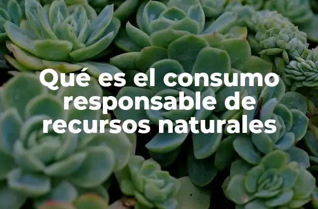 Qué es el Consumo Responsable de Recursos Naturales