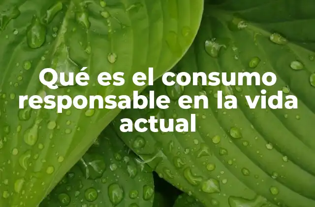 Qué es el Consumo Responsable en la Vida Actual