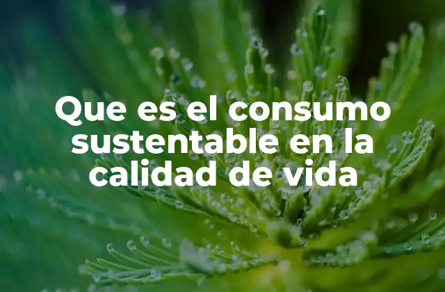 Que es el Consumo Sustentable en la Calidad de Vida