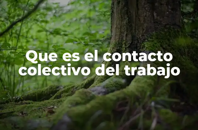 Que es el Contacto Colectivo Del Trabajo 2 La importancia del entorno laboral en la interacción colectiva