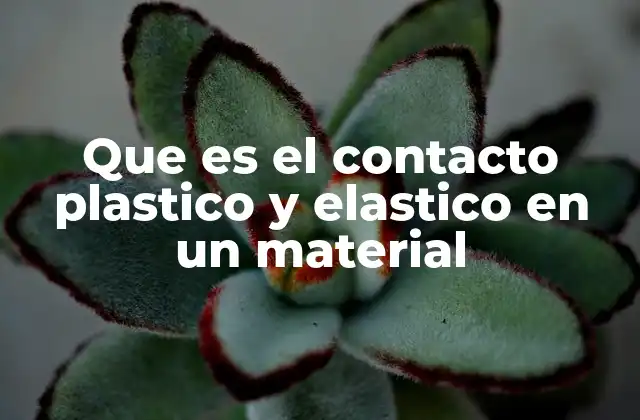 Que es el Contacto Plastico y Elastico en un Material
