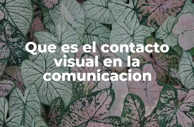 Que es el Contacto Visual en la Comunicacion