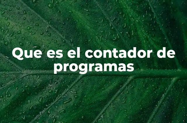 Que es el Contador de Programas