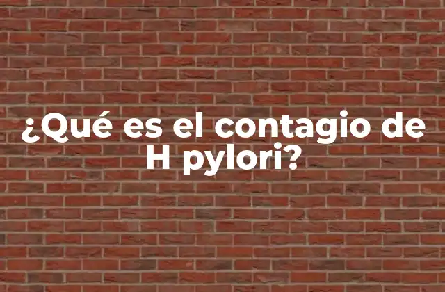 ¿qué es el Contagio de H Pylori?