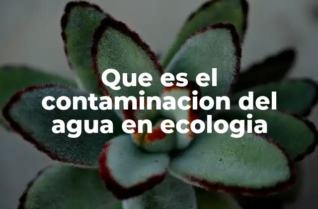 Que es el Contaminacion Del Agua en Ecologia