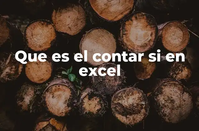 Que es el Contar Si en Excel