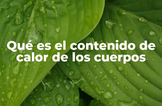 La energía térmica en los materiales y su importancia