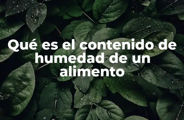 Qué es el Contenido de Humedad de un Alimento 2 La importancia del agua en la estructura y conservación de los alimentos