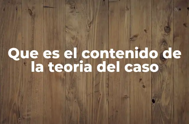 Que es el Contenido de la Teoria Del Caso