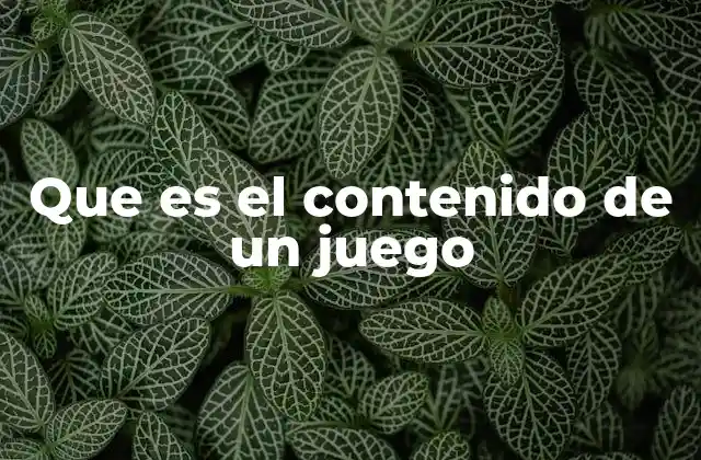 Que es el Contenido de un Juego