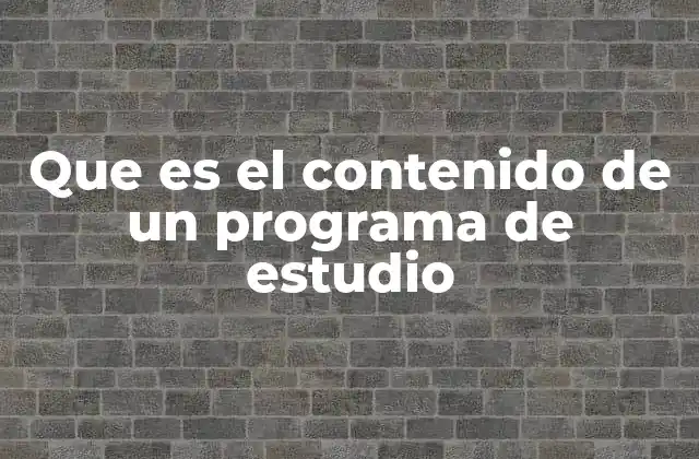 Que es el Contenido de un Programa de Estudio