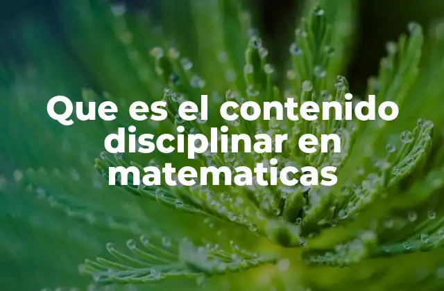 Que es el Contenido Disciplinar en Matematicas 2 La importancia de organizar el contenido disciplinar en matemáticas