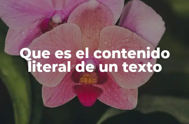 Que es el Contenido Literal de un Texto