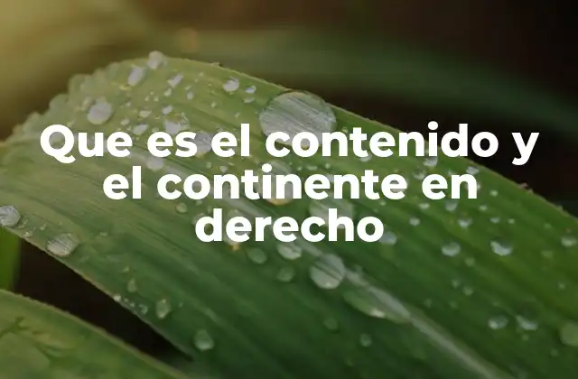Que es el Contenido y el Continente en Derecho 2 La importancia de distinguir entre forma y sustancia en el derecho