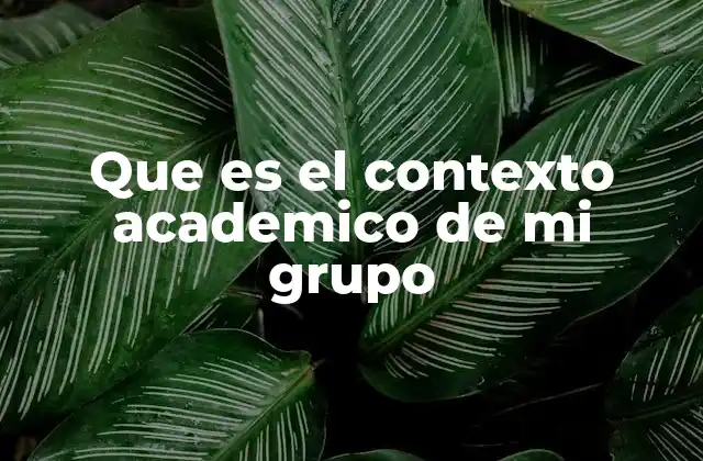 Que es el Contexto Academico de Mi Grupo