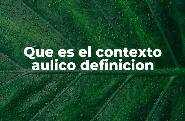 Que es el Contexto Aulico Definicion