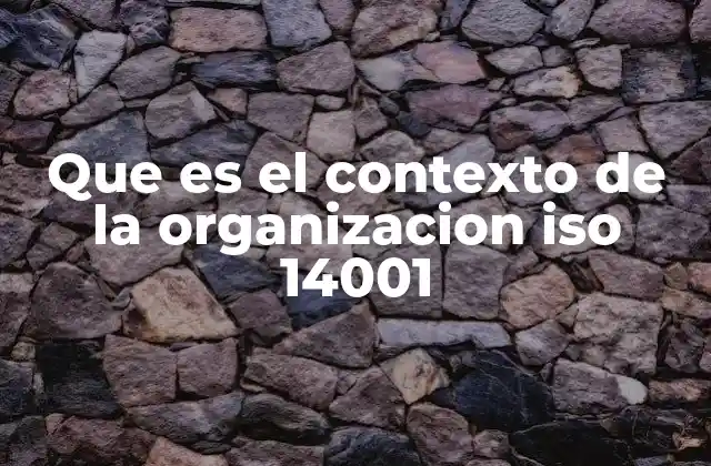 Que es el Contexto de la Organizacion Iso 14001