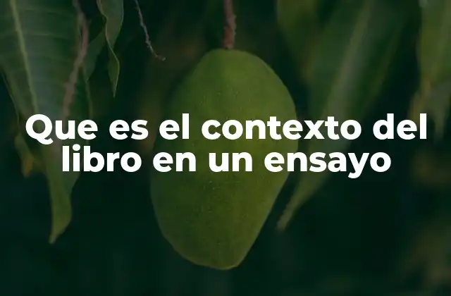 Que es el Contexto Del Libro en un Ensayo