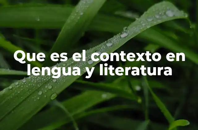Que es el Contexto en Lengua y Literatura