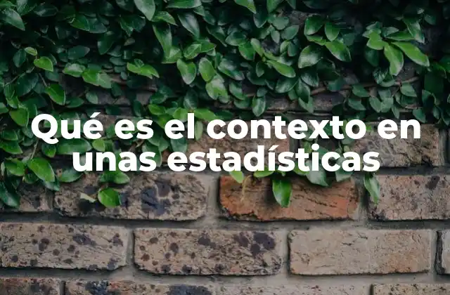 Qué es el Contexto en unas Estadísticas