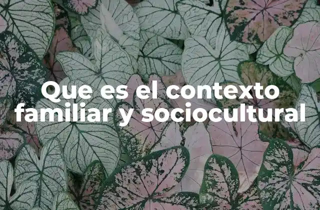 Que es el Contexto Familiar y Sociocultural 2 El entorno familiar y sus influencias sociales