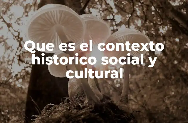 Que es el Contexto Historico Social y Cultural