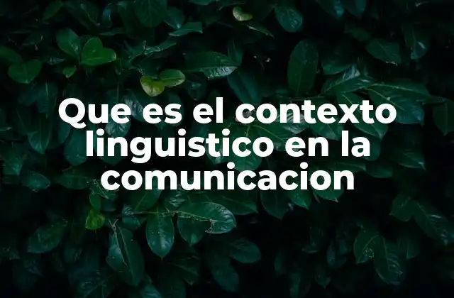 Que es el Contexto Linguistico en la Comunicacion
