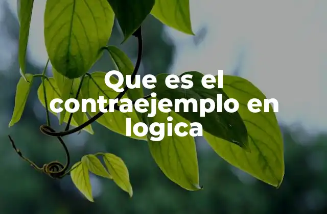 Que es el Contraejemplo en Logica