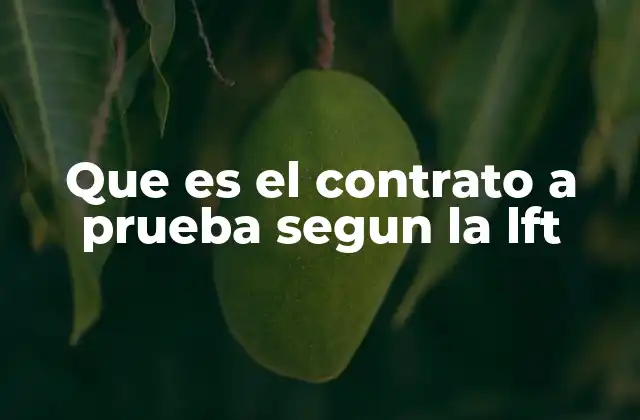 Que es el Contrato a Prueba Segun la Lft