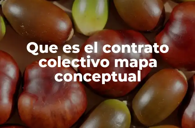 Que es el Contrato Colectivo Mapa Conceptual