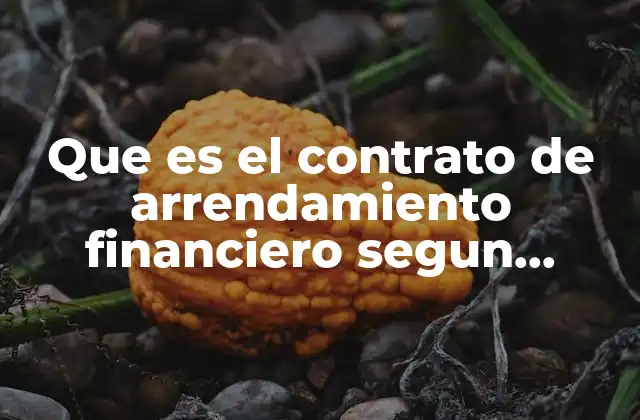 Que es el Contrato de Arrendamiento Financiero Segun Banesco