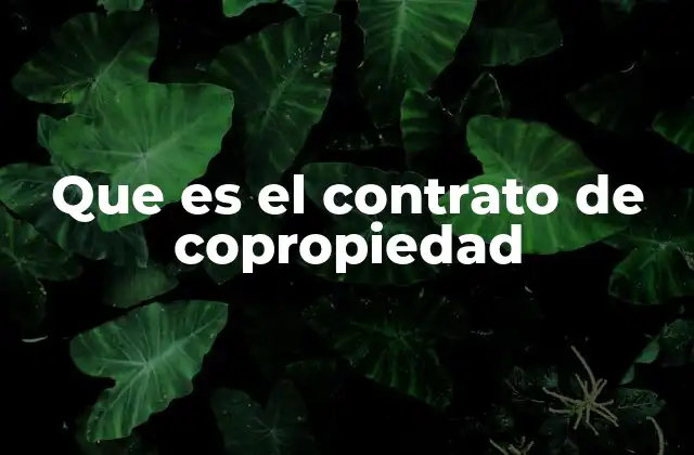 La importancia de la organización en espacios compartidos