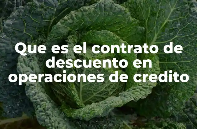 Que es el Contrato de Descuento en Operaciones de Credito