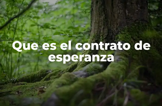 Que es el Contrato de Esperanza