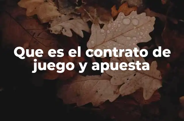 Que es el Contrato de Juego y Apuesta