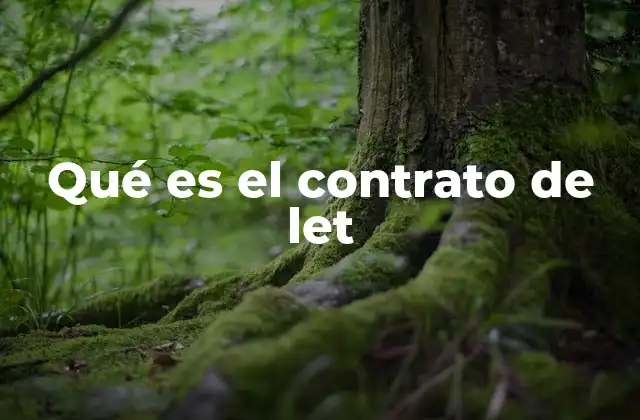 Qué es el Contrato de Let