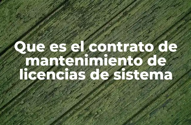 Que es el Contrato de Mantenimiento de Licencias de Sistema